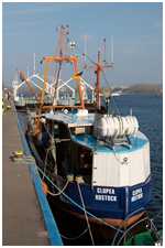 Fischereiforschungskutter Clupea